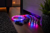 Tira LED ambiental para coche